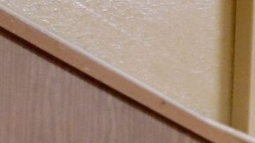 Las elecciones de noviembre llevaron a millones a las urnas.