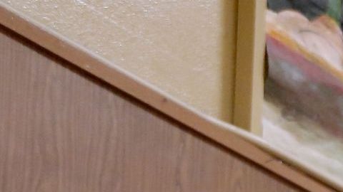 Las elecciones de noviembre llevaron a millones a las urnas.