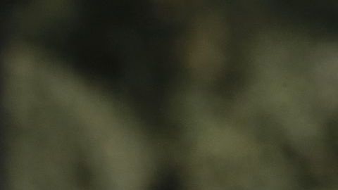 Santos Tecum se hizo el muerto para lograr sobrevivir el ataque. (Aurelia Ventura/ La Opinion)