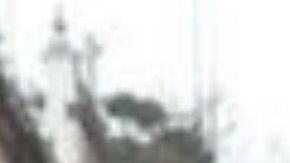 Fuerte polarización por llegada de AMLO al poder