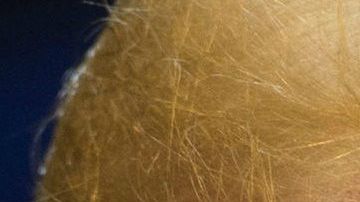 Crece la tensión por el avance de la Caravana Migrante a suelo de EEUU