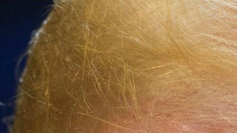 Crece la tensión por el avance de la Caravana Migrante a suelo de EEUU