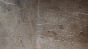 Los gatos momificados. EFE