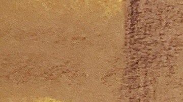 Los comentarios de los abogado de "El Chapo" en Twitter los tiene en problemas