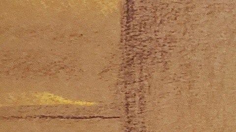 Los comentarios de los abogado de "El Chapo" en Twitter los tiene en problemas