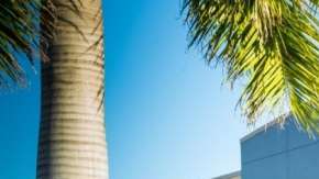 Ford se une a Walmart y Postmates para desarrollar autos autónomos que entreguen compras a consumidores