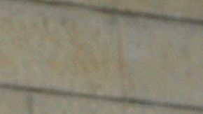 Jared Kushner recibirá el reconocimiento el jueves.