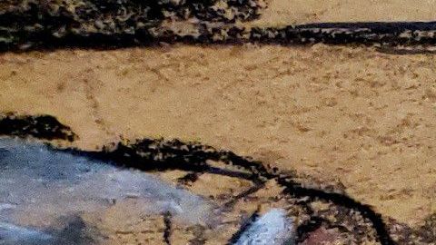 "El Chapo" fue señalado por testigo como líder del cártel de Sinaloa.