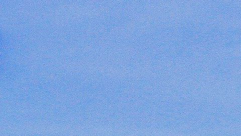 Integrantes de la caravana migrante escalan el muro fronterizo en Tijuana.