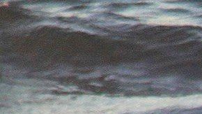 Autoridades de EEUU refuerzan la valla fronteriza en Tijuana. EFE