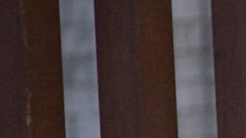 La Administración Trump desplegó 5,900 solados en la frontera con México.