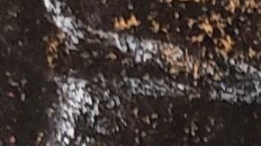 El juicio de "El Chapo" comenzó el 5 de noviembre con la elección del jurado.