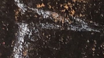 El juicio de "El Chapo" comenzó el 5 de noviembre con la elección del jurado.