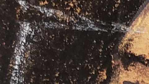 El juicio de "El Chapo" comenzó el 5 de noviembre con la elección del jurado.