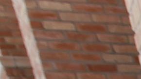 Mira los requisitos para traer tu vehículo no conforme a USA