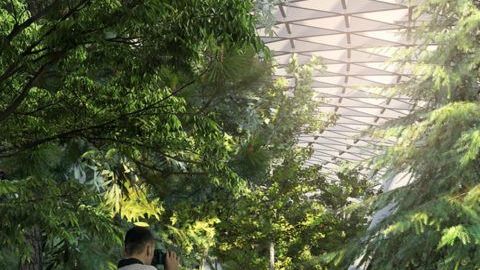 Así luce el aeropuerto de Singapur, uno de los más valorados del mundo.