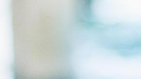 A Cosmo, un Weimaraner, le gusta que lo carguen como si fuera un recién nacido./Cortesía