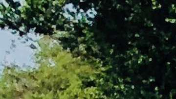 El alcalde de Tallahassee, Andrew Gillum, quiso ser el primer gobernador afroamericano de Florida