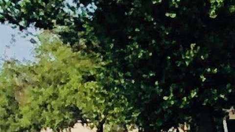 El alcalde de Tallahassee, Andrew Gillum, quiso ser el primer gobernador afroamericano de Florida