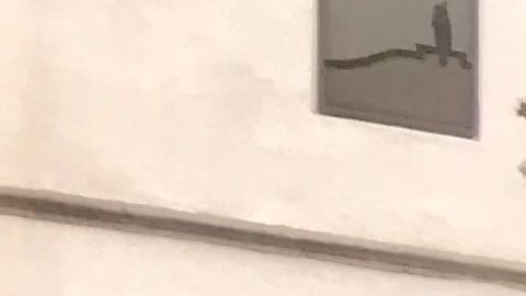 Oumy, de rosa, durante la primera Cumbre de Madres de Migrantes Desaparecidos.