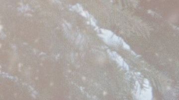 Tu auto necesita ser protegido de las bajas temperaturas del invierno