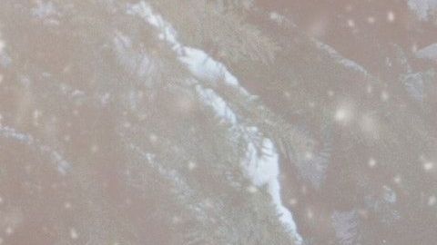 Tu auto necesita ser protegido de las bajas temperaturas del invierno