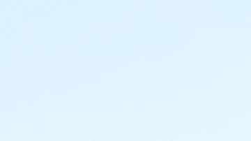 ¿Qué personalidad va mejor con tu auto?