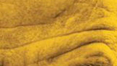 Harán película basada en la serie de televisión "Breaking Bad"