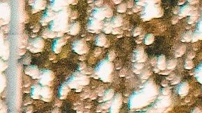 Conoce tus derechos ante las autoridades para evitar injusticias