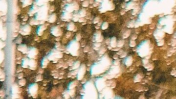 Conoce tus derechos ante las autoridades para evitar injusticias