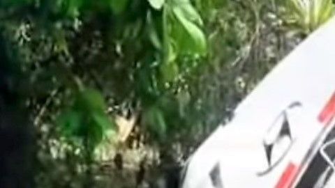 El chofer del autobús perdió el control y se fue a un barranco en la zona de la amazonia peruana.