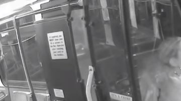 Natalie Barnes se convirtió en una heroína.