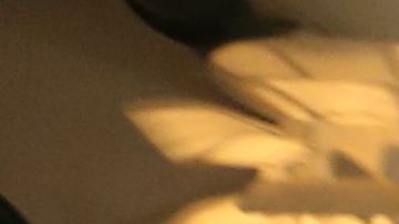 Daniel Levy, fundador de Manhattan Home Design, una empresa de alto crecimiento certificada como minoritaria con las Adminstraciones como principales clientes./Mariela Lombard