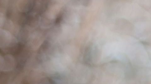 Para muchos, el trabajo ideal.