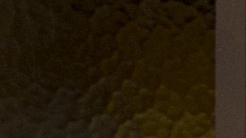 Elenco de "Doña Flor y sus 2 maridos"