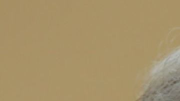 El presidente Donald Trump criticó al al almirante William McRaven.