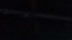 El Día de los Niños contó con la mascota local y las de los equipos del Super Bowl LII.