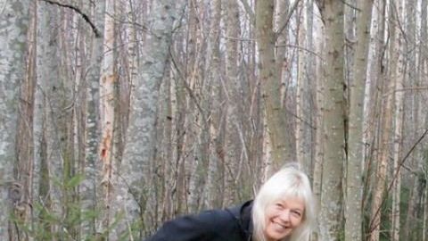 Trump dijo que rastrillar el suelo del bosque sería la solución