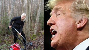 Trump dijo que rastrillar el suelo del bosque sería la solución