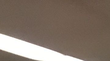 Centro de votación en Queens de las elecciones primarias del 13 de septiembre. Foto David ramírez