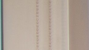 La mayoría de las empresas latinas son jóvenes y tienen gestores también muy jóvenes./Shutterstock