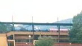 Erena Verlacher falleció a la edad de 19 años