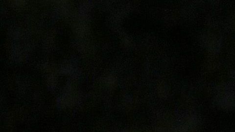 Marisela Cantú, mejor conocida como Chelly, gana "Exatlón"