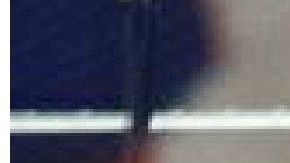 Sayoc vivía en Aventura, Florida