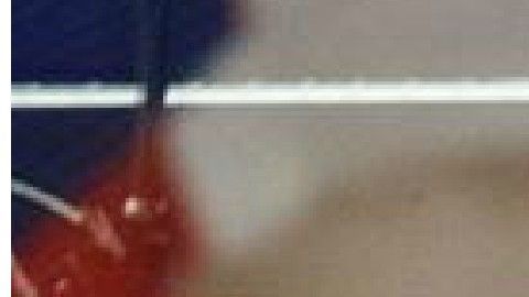 Sayoc vivía en Aventura, Florida