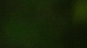 El sacerdote ha prometido devolver todo el dinero que tomó.