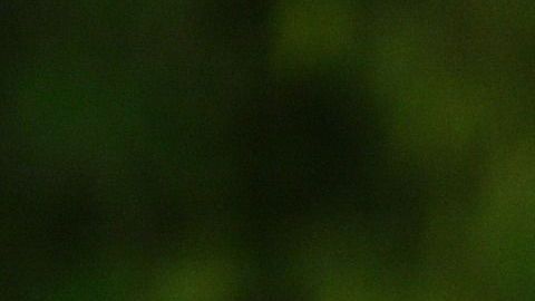 El sacerdote ha prometido devolver todo el dinero que tomó.