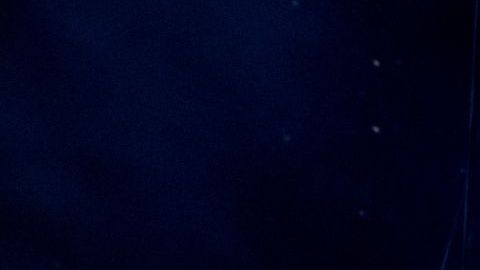 Christiani Pitts encabeza el elenco