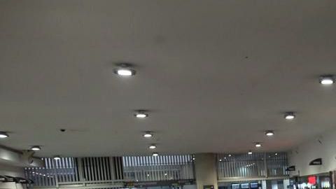 Cientos de aficionados recibieron a los campeones de la Copa MX