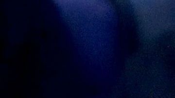 Georgina Rodríguez y Cristiano Ronaldo viven su noviazgo a plenitud